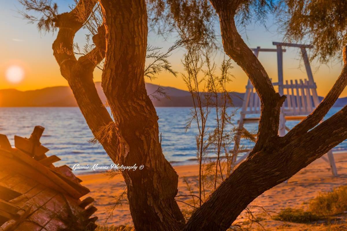 Mikri Vigla Hotel Beach Resort Buitenkant foto